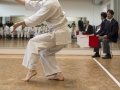2016-04-26 Kata Turnier Kaarst 204